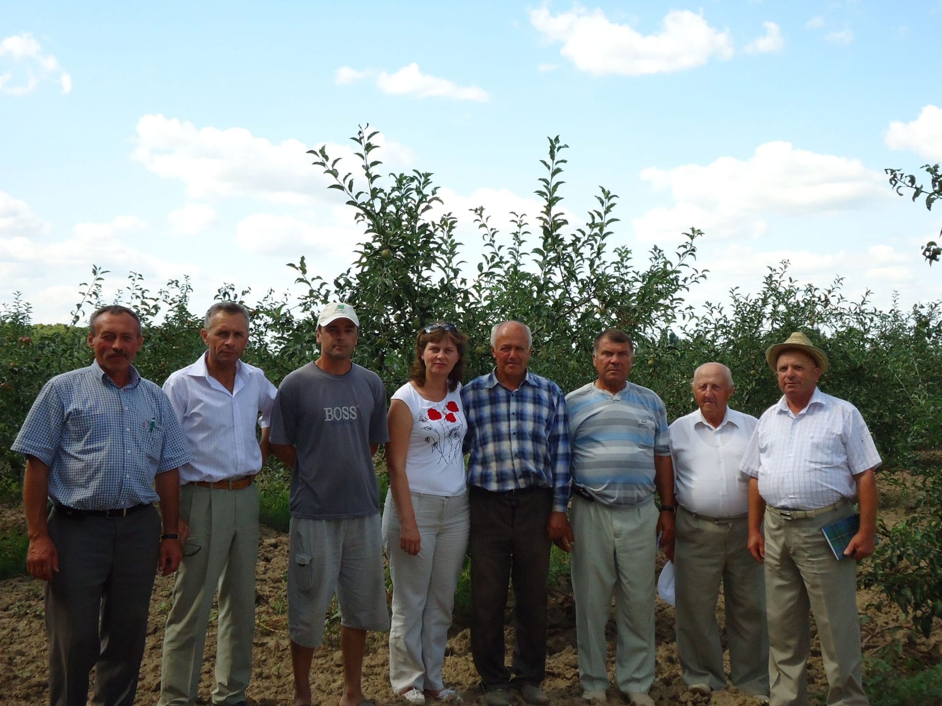 Кваліфікаційна експертиза