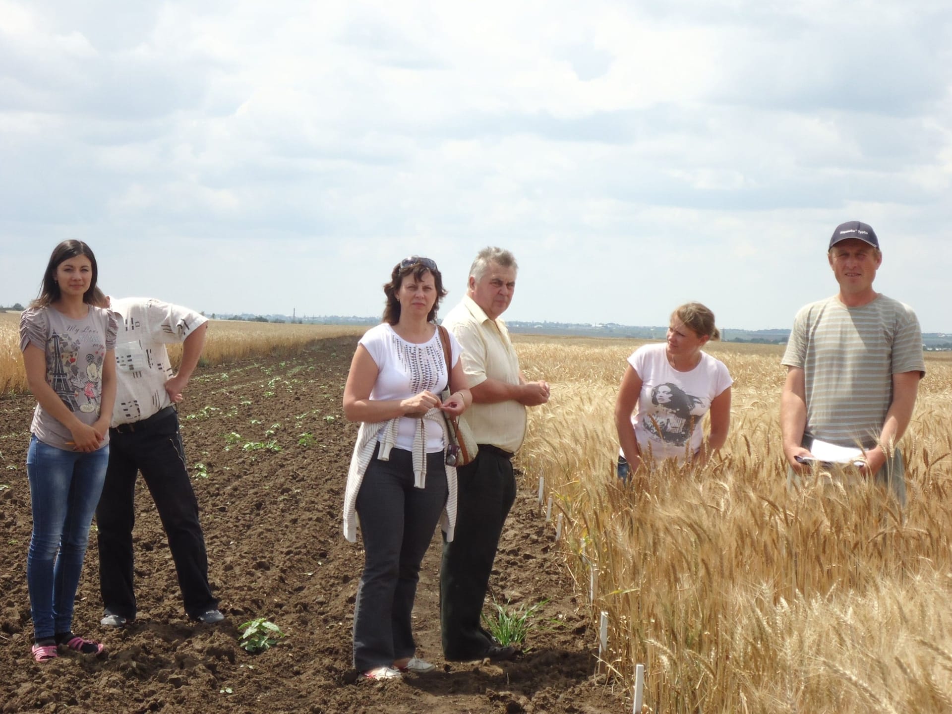 Кваліфікаційна експертиза