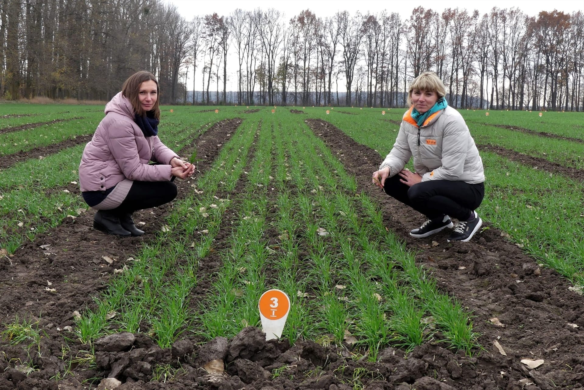 Кваліфікаційна експертиза