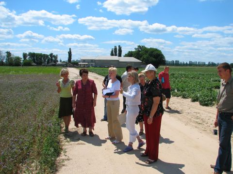 Кваліфікаційна експертиза