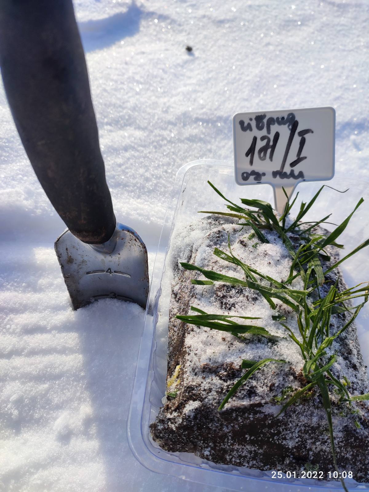 Кваліфікаційна експертиза