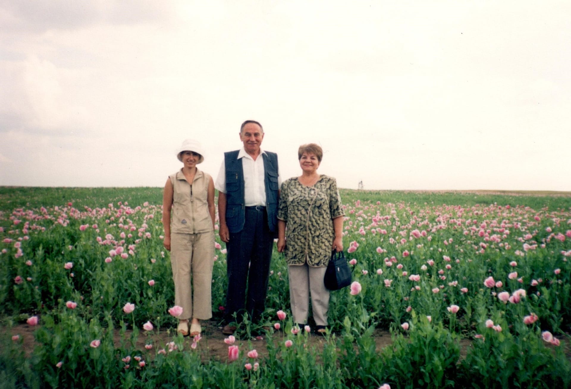 Кваліфікаційна експертиза