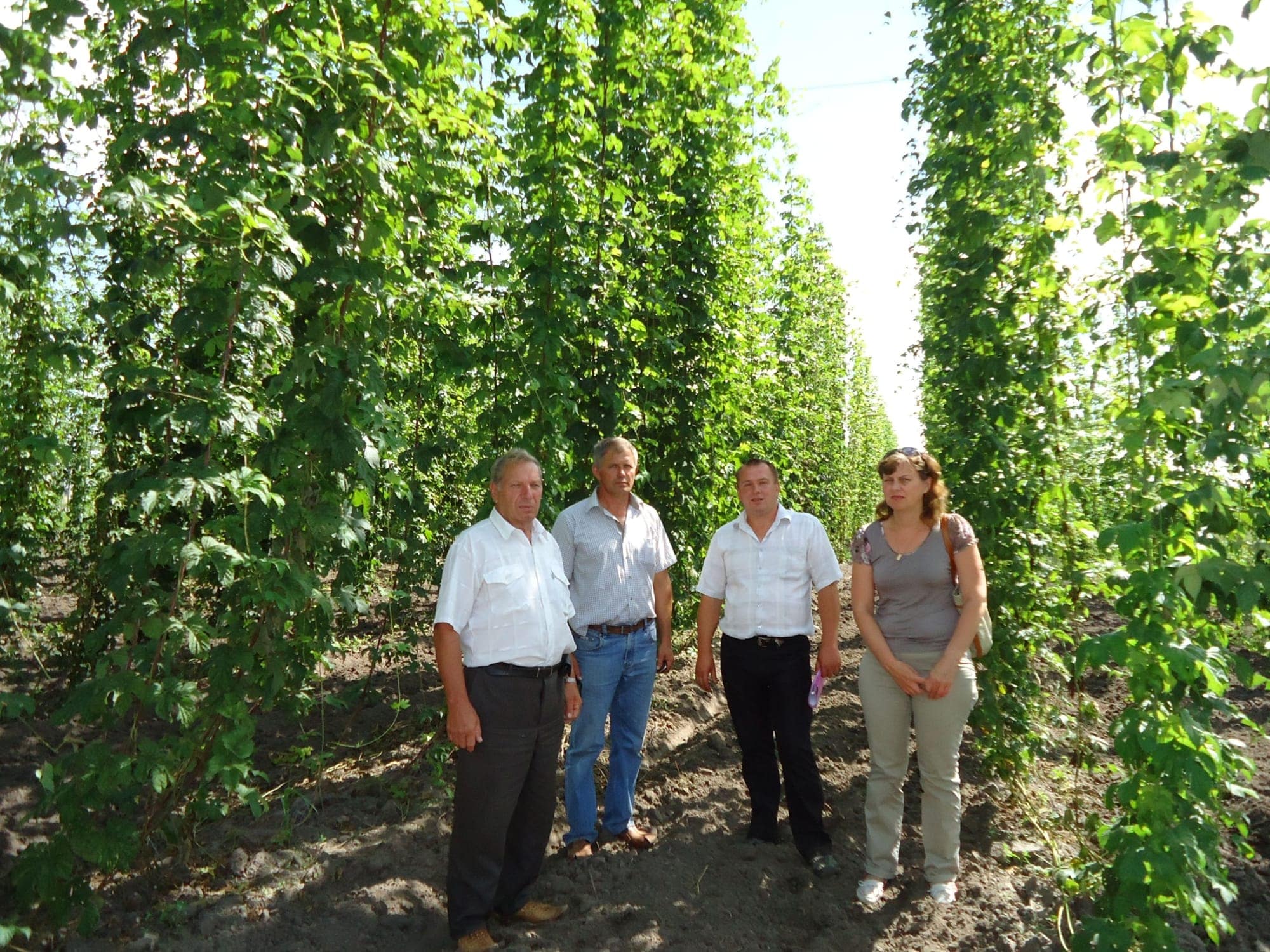 Кваліфікаційна експертиза