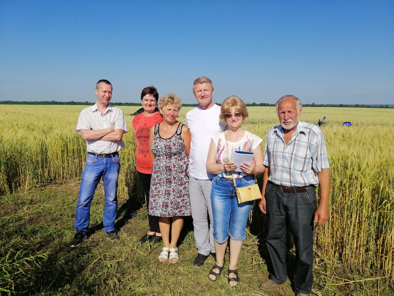 Кваліфікаційна експертиза