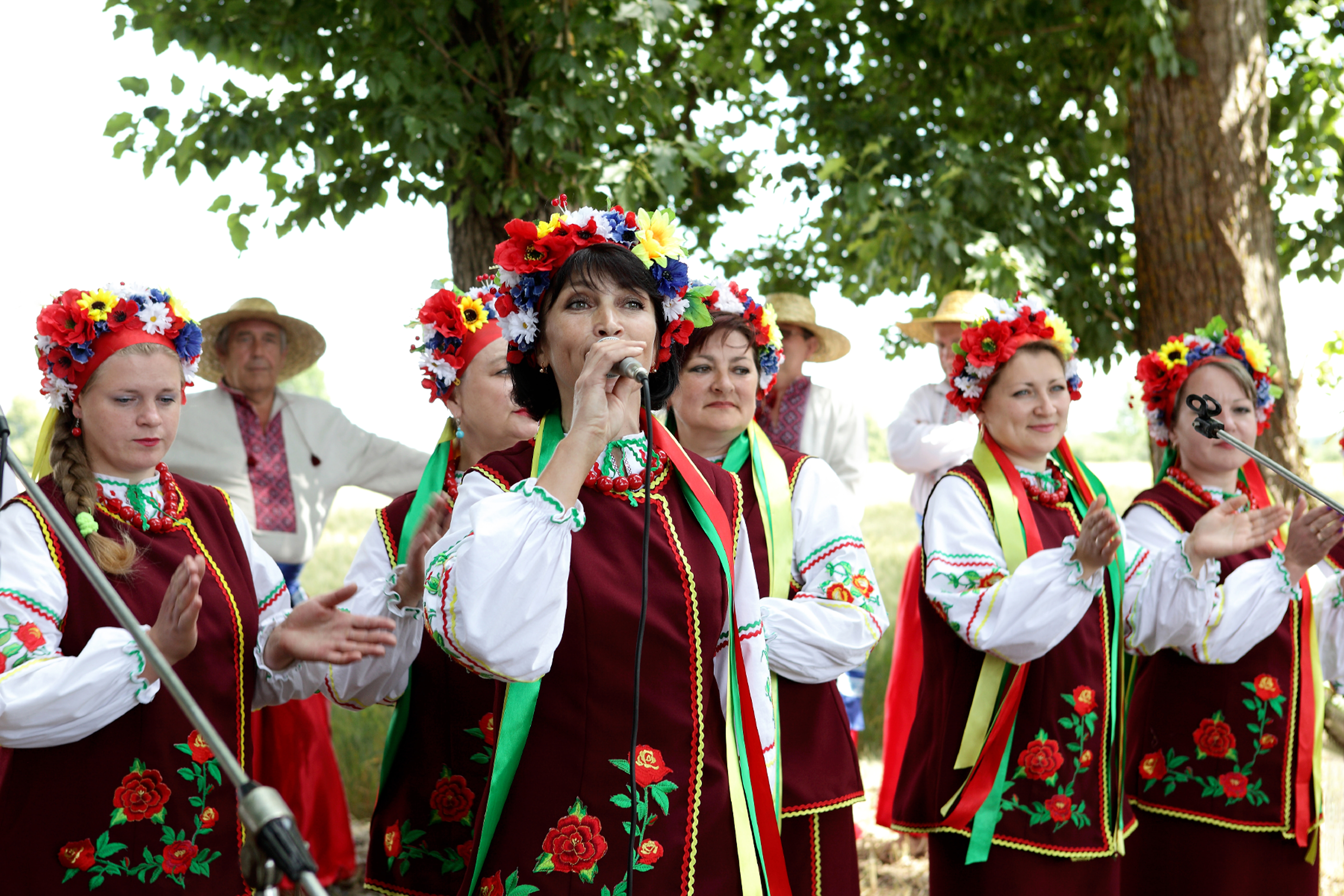 Сорти рослин