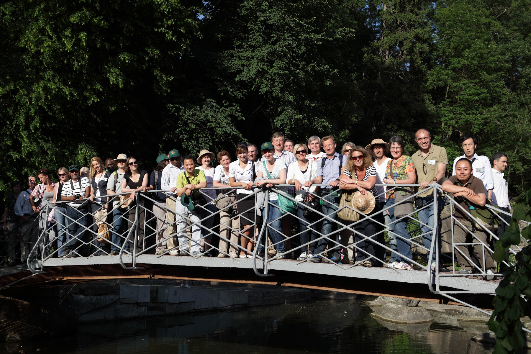 Сорти рослин